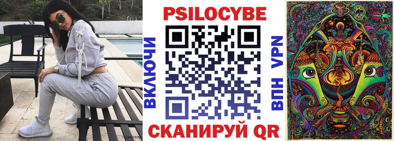 где купить наркоту Могоча Галлюциногенные грибы Cubensis